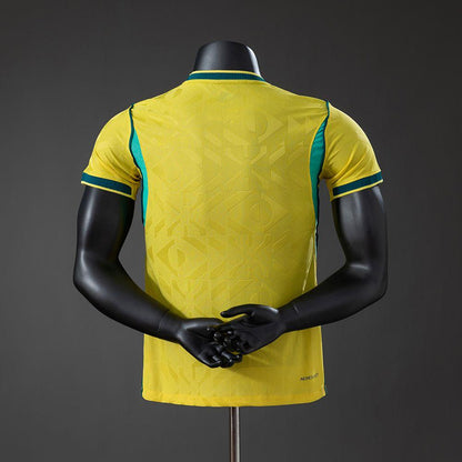 BRASIL 2026