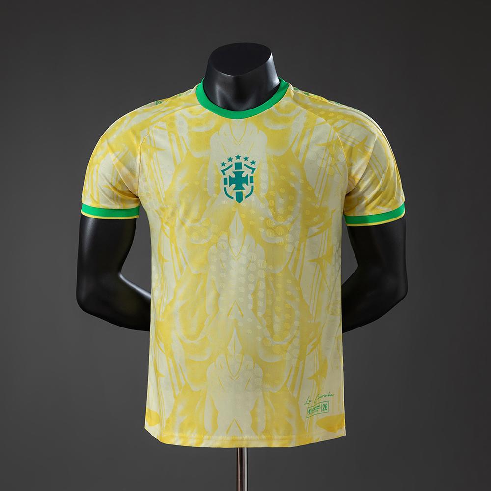 BRASIL 2026