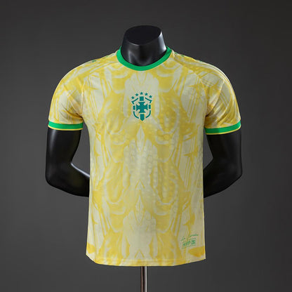 BRASIL 2026