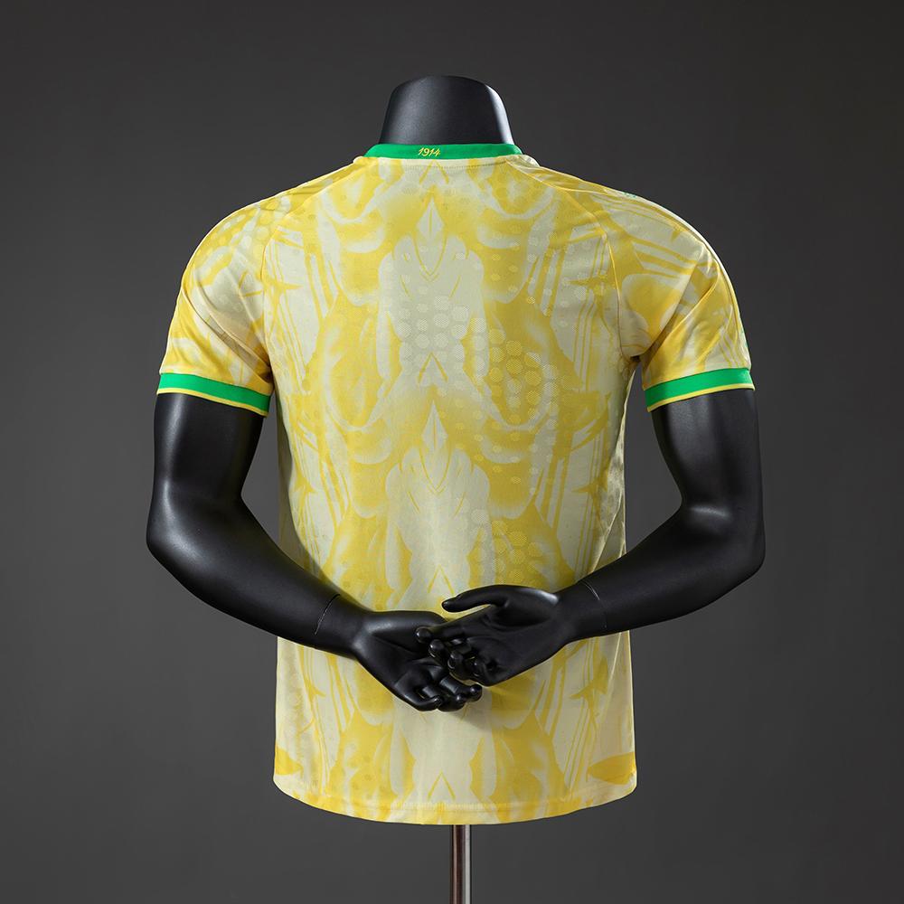BRASIL 2026