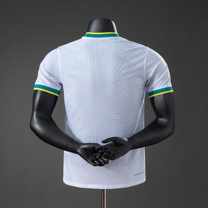 BRASIL 2026